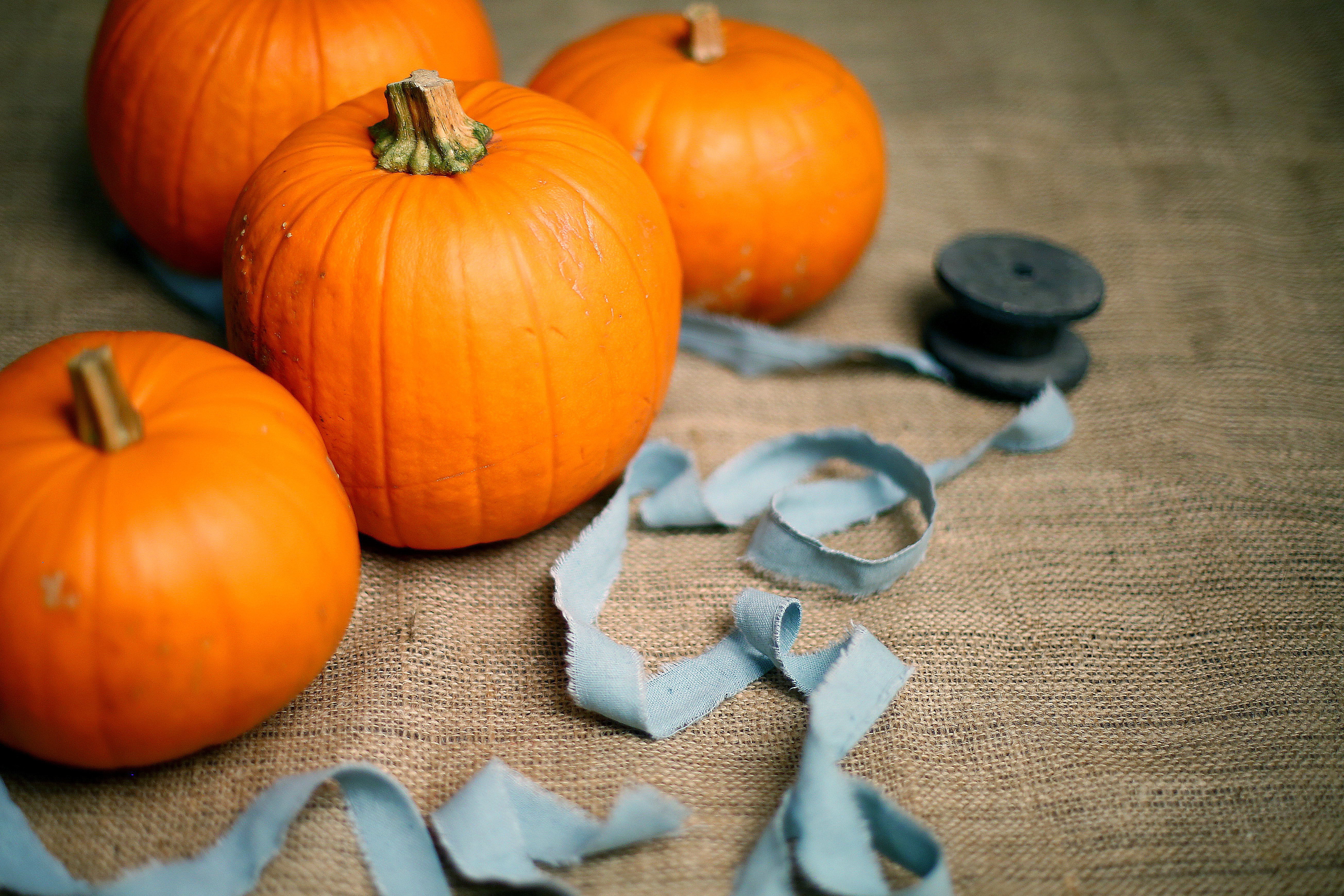 Thanksgiving Decor Inspiration for the Eco-Friendly Host
