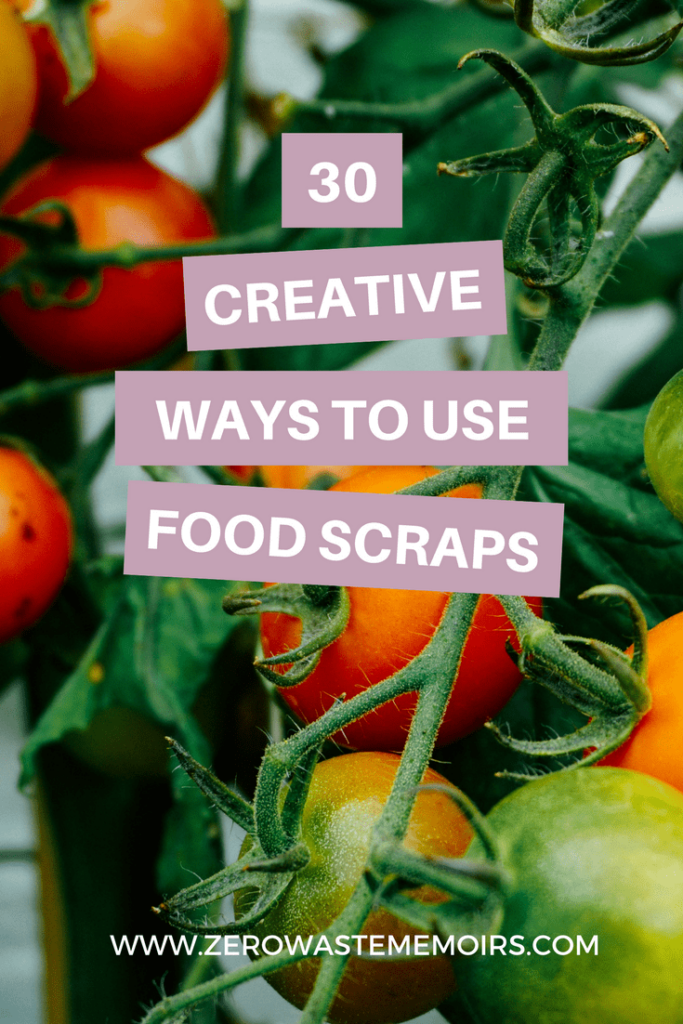 30-clever-ways-to-use-food-scraps-the-zero-waste-memoirs