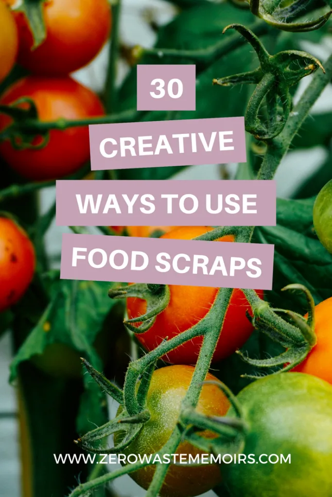 30 Clever Ways To Use Food Scraps The Zero Waste Memoirs