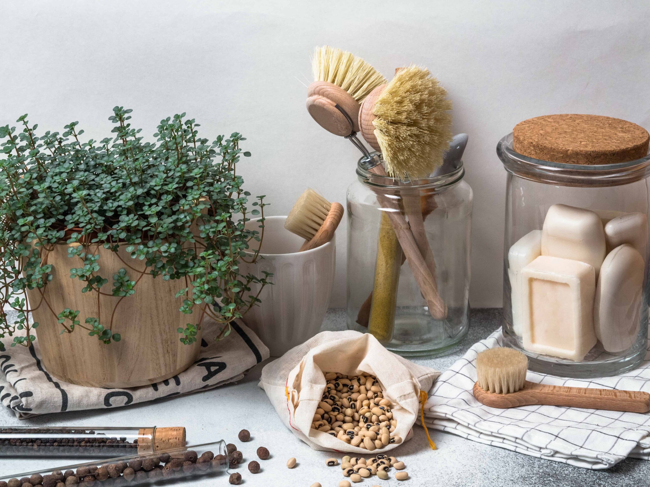 30 Best Zero-Waste Kitchen Products For a Sustainable Home – Lomi