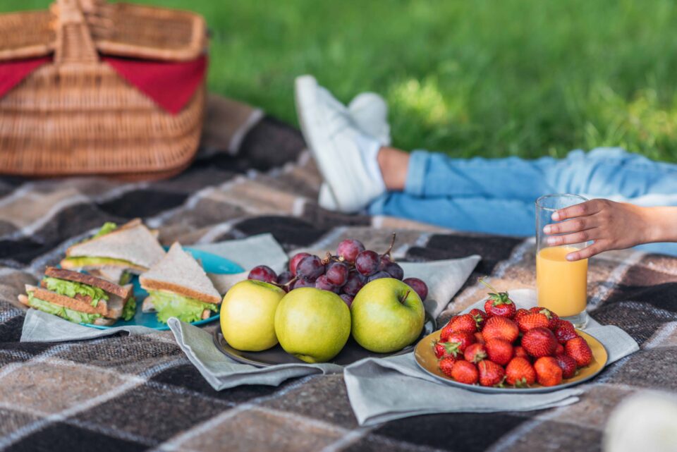 Planning a Zero Waste Picnic - Zero Waste Memoirs