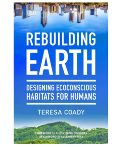 Rebuilding earth book