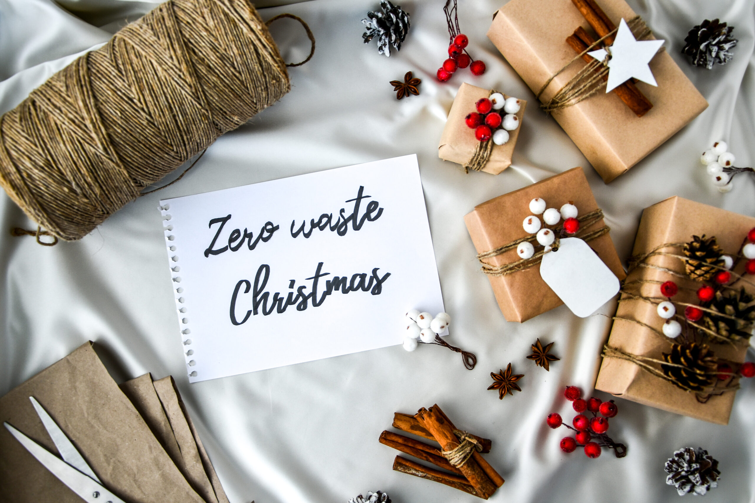 https://zerowastememoirs.com/wp-content/uploads/2020/12/ZWM-zero-waste-christmas-scaled.jpg