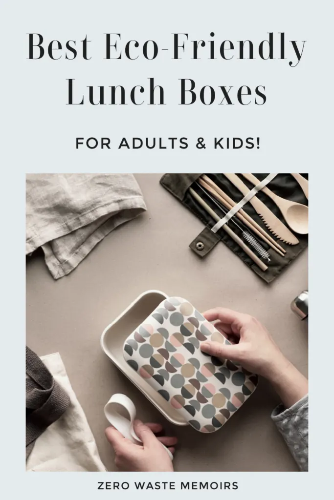 Eco Friendly Lunch Box Essentials For Adults And Kids * Zesty Olive -  Simple, Tasty, and Healthy Recipes