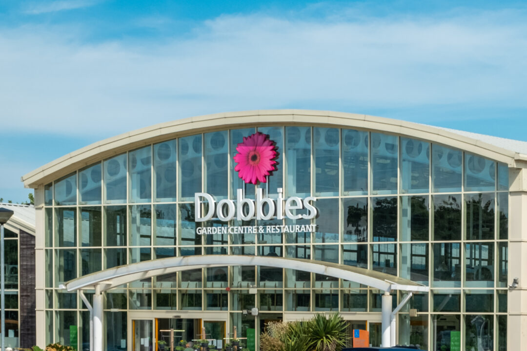 How to Recycle Plant Pots for a GuiltFree Garden Zero Waste Memoirs