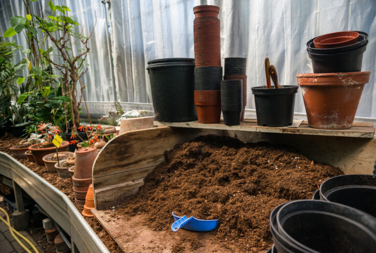 How to Recycle Plant Pots for a Guilt-Free Garden - Zero Waste Memoirs