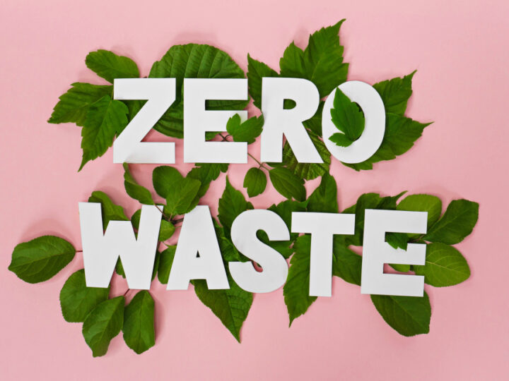Best Online Zero Waste Stores