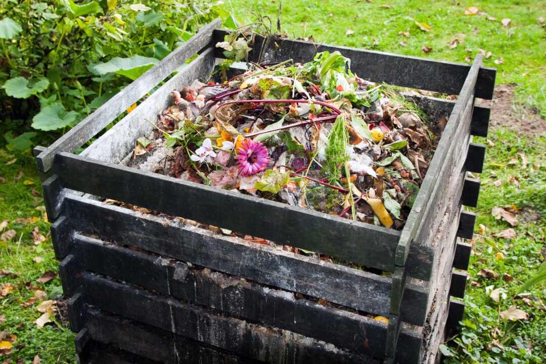 Can You Compost Pizza Boxes? Best Ways to Dispose of Used Pizza Boxes Zero Waste Memoirs