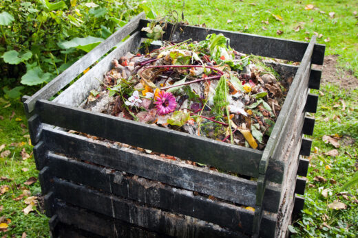 Can You Compost Pizza Boxes? Best Ways To Dispose Of Used Pizza Boxes ...