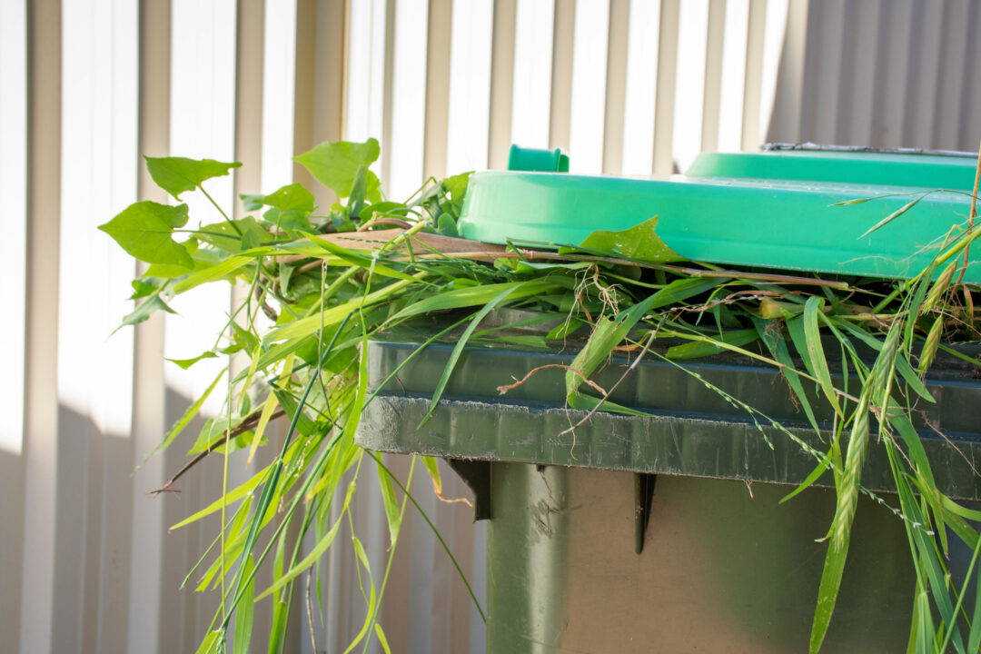 Can You Compost Pizza Boxes? Best Ways to Dispose of Used Pizza Boxes