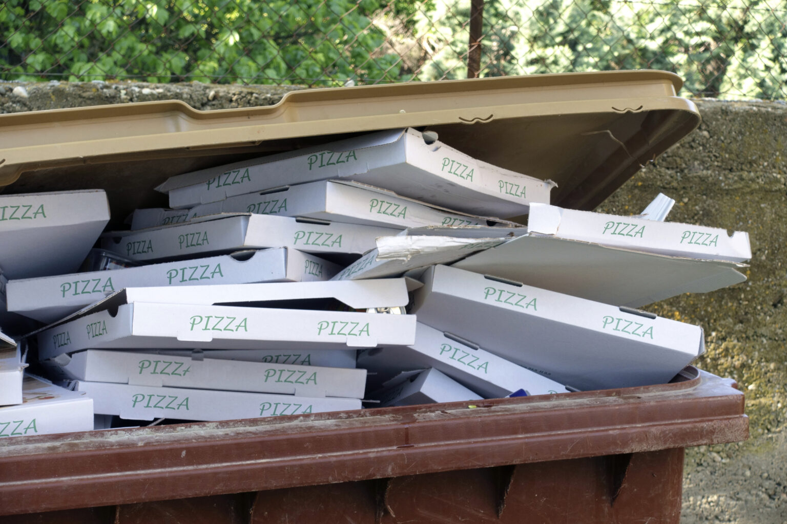 Can You Compost Pizza Boxes? Best Ways to Dispose of Used Pizza Boxes Zero Waste Memoirs