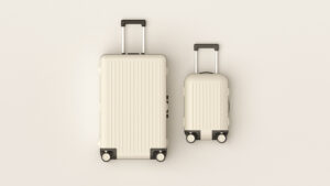Eco-friendly luggage brands