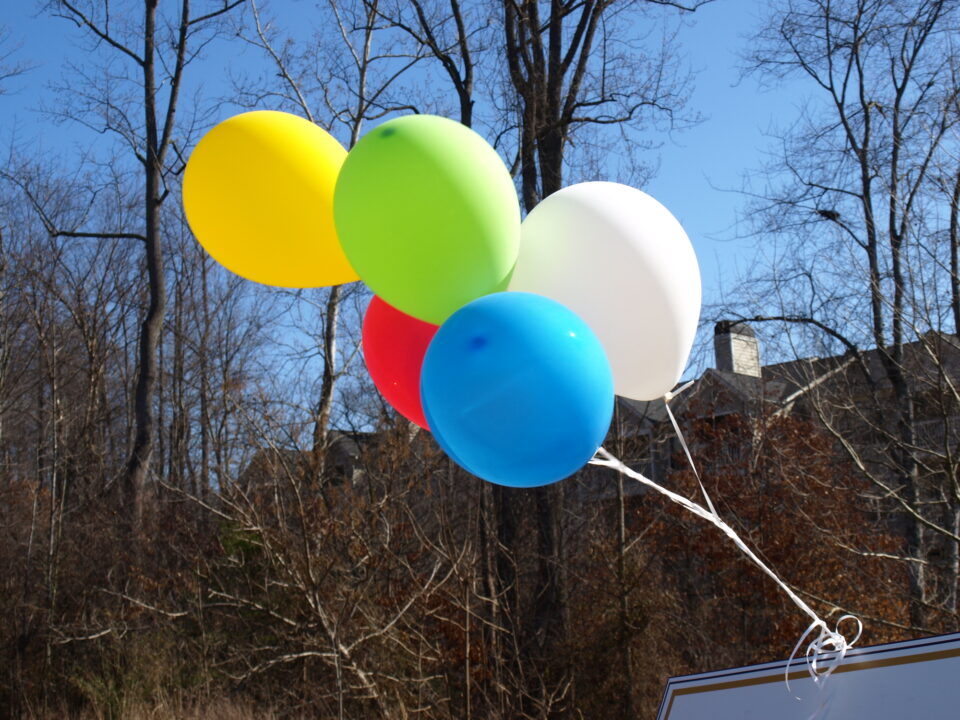 EcoFriendly Alternatives to Balloons Zero Waste Memoirs