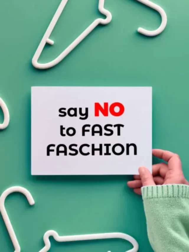 Fast Fashion Brands To Avoid Story